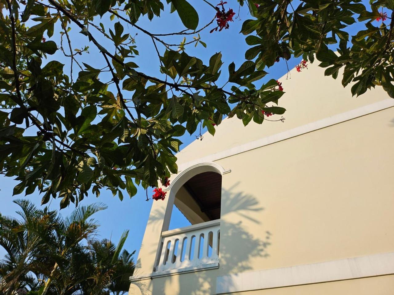 En Retreat Hoi An Bed & Breakfast Dış mekan fotoğraf